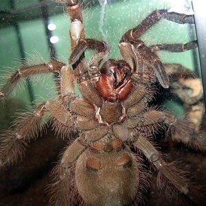 21-11-06 (2)1 (Medium).JPG