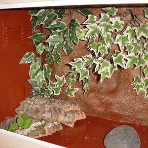 plantas y tal... 001.jpg