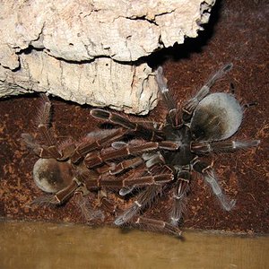 IMG_3745 (Small).JPG