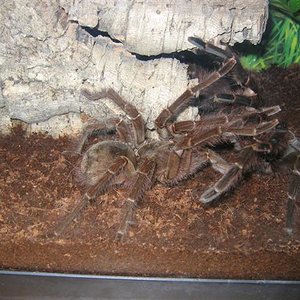 IMG_3746 (Small).JPG