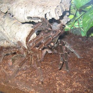 IMG_3748 (Small).JPG