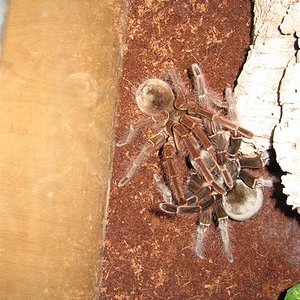 IMG_3750 (Small).JPG