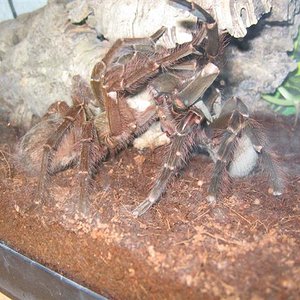 IMG_3751 (Small).JPG