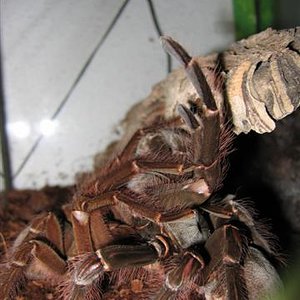 IMG_3752 (Small).JPG