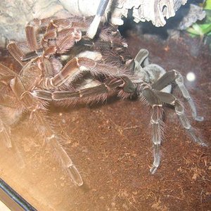 IMG_3756 (Small).JPG