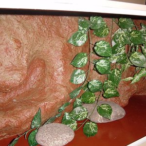 plantas y tal... 002.jpg