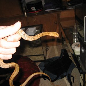 Imagen 009 (Large).jpg