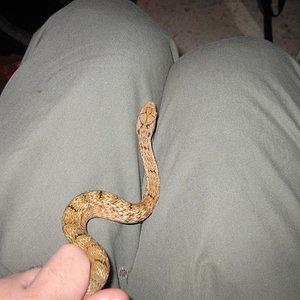 Imagen 007 (Large).jpg