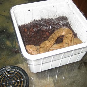 Imagen 001 (Large).jpg