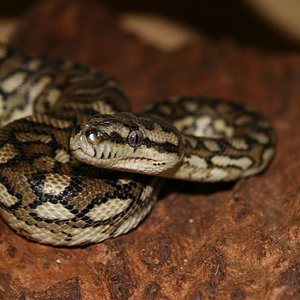 Imagen 018 (Medium).jpg