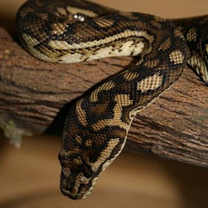 Imagen 017 (Medium).jpg