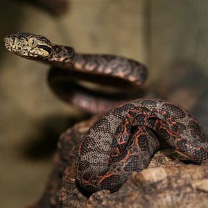 Imagen 013 (Medium).jpg