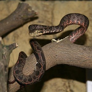 Imagen 027 (Medium).jpg