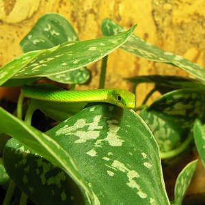 Copia de Imagen 093.jpg