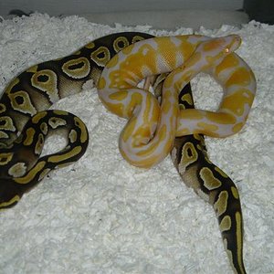 DSC01996 (Small).JPG