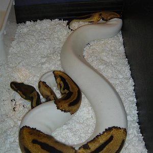 DSC01997 (Small).JPG