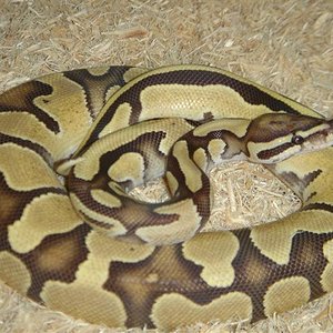 DSC01999 (Small).JPG