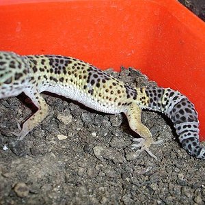 Naoki4 - 05-01-07....JPG