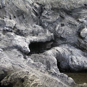 terrario euble 028.jpg