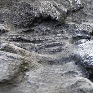 terrario euble 027.jpg