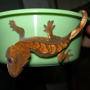 DSCN1701 (Medium).JPG