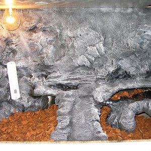 terrario euble 031.jpg