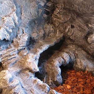 terrario euble 033.jpg