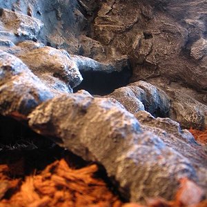 terrario euble 036.jpg