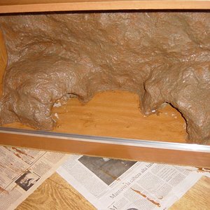 nuevo terrario 004.jpg