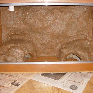 nuevo terrario 009.jpg