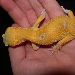 DSCN1740 (Medium).JPG