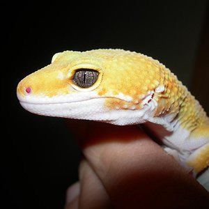 DSCN1736 (Medium).JPG