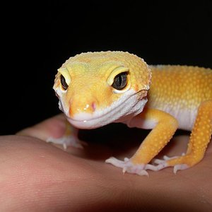 DSCN1741111 (Medium).JPG