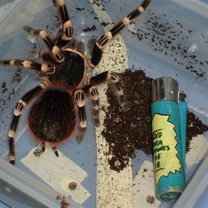 S7000047 (Medium).JPG