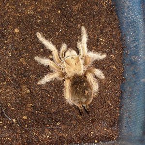 S7000040 (Medium).JPG