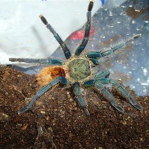 S7000029 (Medium) (Small).JPG