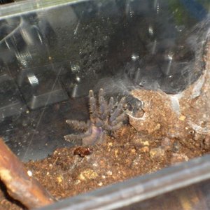 S7000096 (Medium).JPG