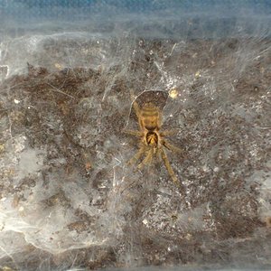 S7000080 (Medium).JPG