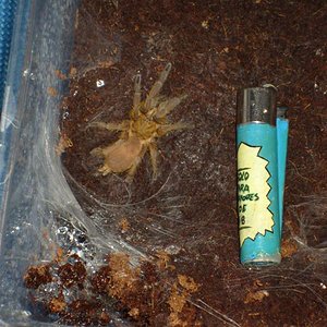 S7000045 (Medium).JPG