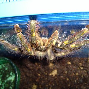 S7000035 (Medium).JPG