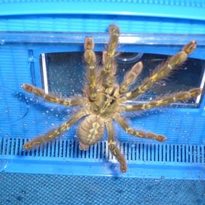 S7000032 (Small).JPG