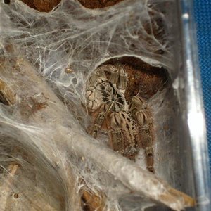 S7000064 (Medium).JPG