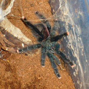 S7000071 (Medium).JPG