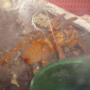 S7000186 (Medium).JPG