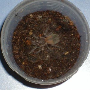 S7000131 (Medium).JPG