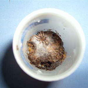 S7000127 (Medium).JPG