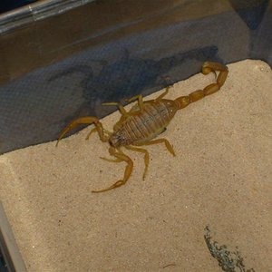 S7000055 (Medium).JPG