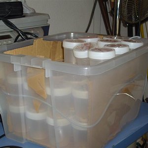 S7000190 (Medium).JPG