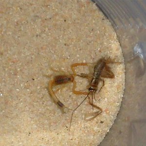 S7000192 (Medium).JPG