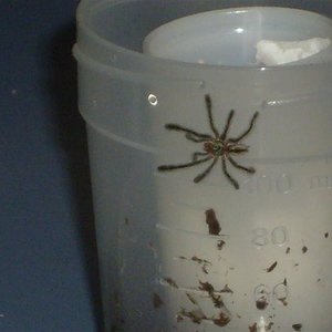 S7000196 (Medium).JPG